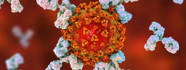 Exame de Anticorpos Neutralizantes: estou imune à Covid-19?