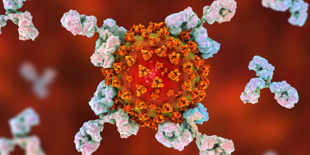 Exame de Anticorpos Neutralizantes: estou imune à Covid-19?