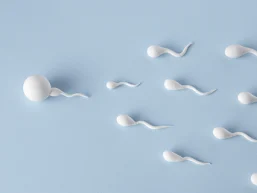 Espermograma em Juiz de Fora: tudo sobre o exame que avalia a fertilidade masculina