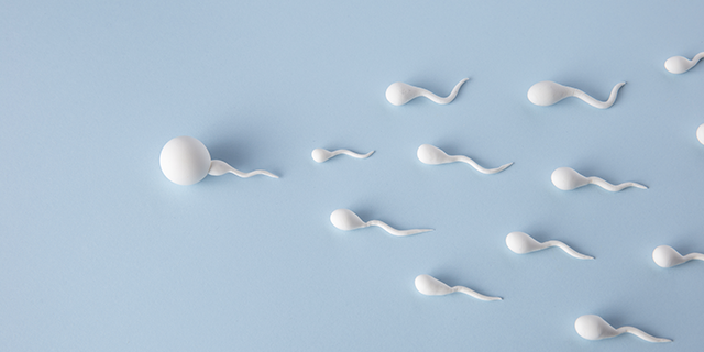 Espermograma em Juiz de Fora: tudo sobre o exame que avalia a fertilidade masculina